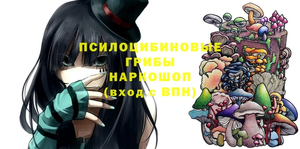 ГАЛЛЮЦИНОГЕННЫЕ ГРИБЫ Алексеевка