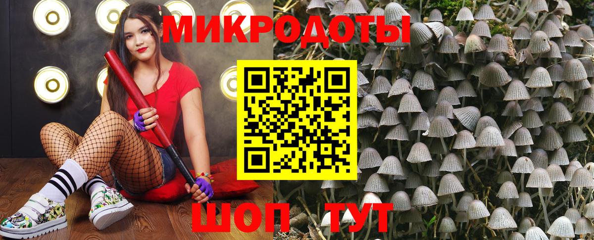 Галлюциногенные грибы прущие грибы Кореновск