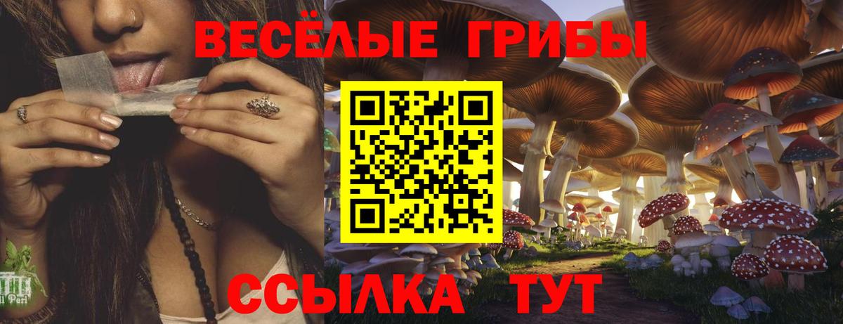 Кореновск  Псилоцибиновые грибы GOLDEN TEACHER  Вход с VPN 